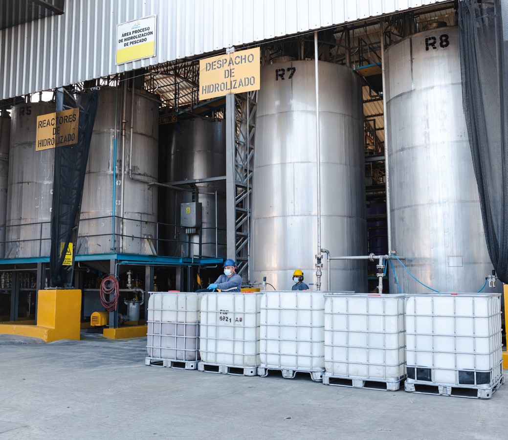 DATA PLANT GALERIA-6