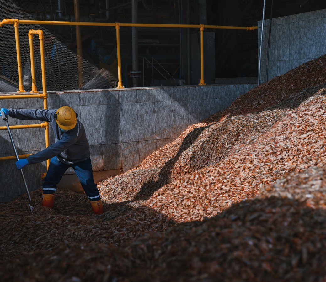 TAURA-PLANT-GALERIA-1
