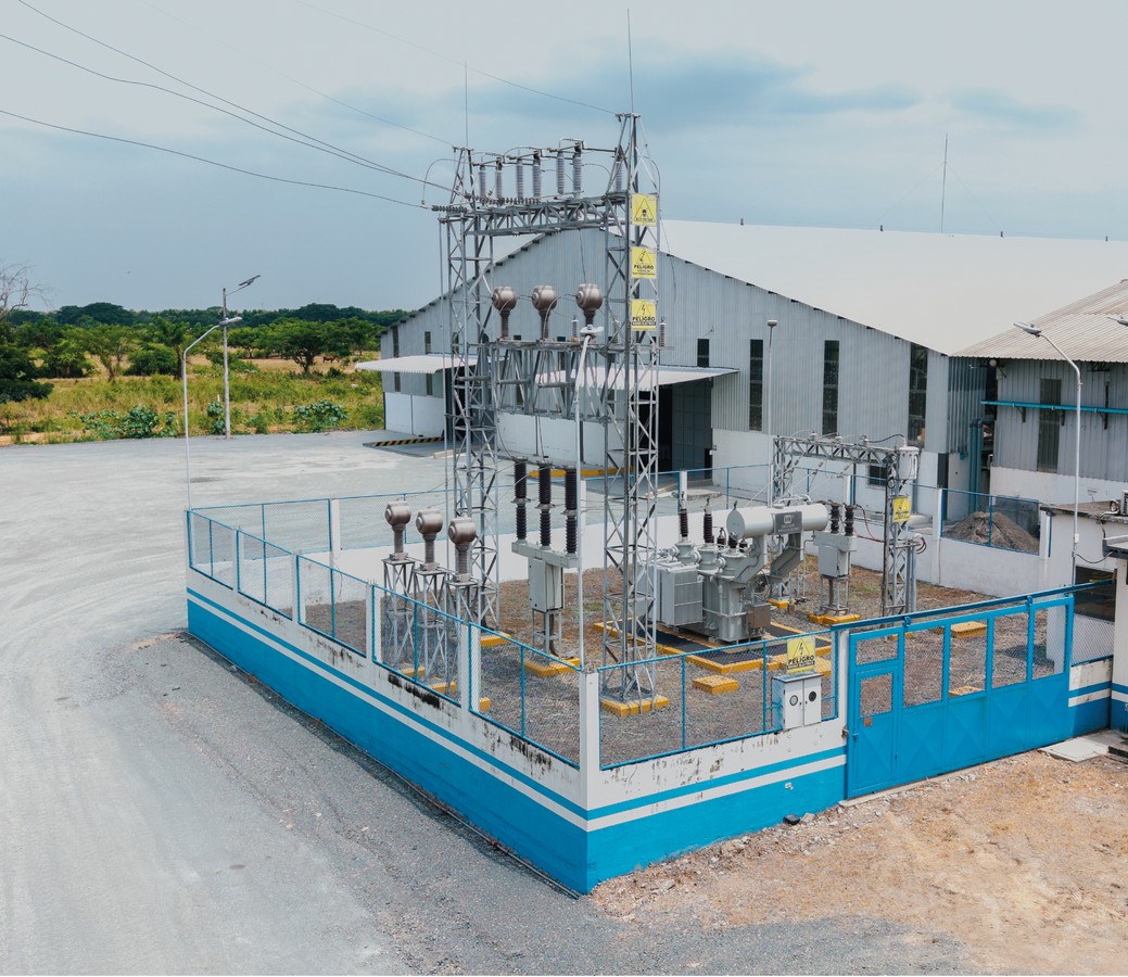 TAURA-PLANT-GALERIA-2