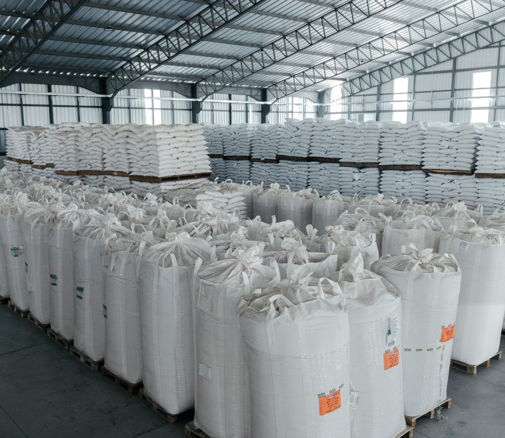 TAURA-PLANT-GALERIA-8