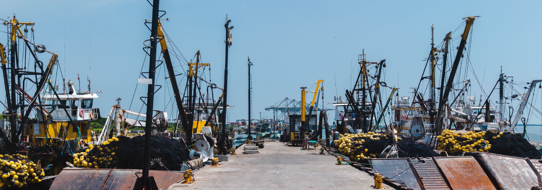 dock7